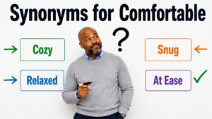synonyms for comfortable