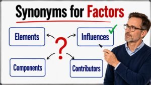 synonyms for factors
