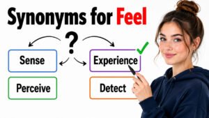 synonyms for feel