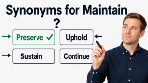 synonyms for maintain