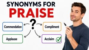 synonyms for praise
