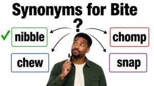 synonyms for bite