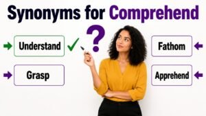 synonyms for comprehend