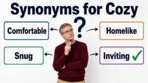 synonyms for cozy