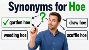 synonyms for hoe
