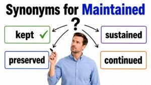 synonyms for maintained