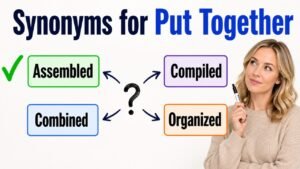 synonyms for put together