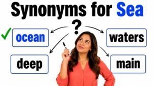 synonyms for sea